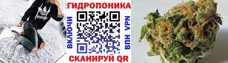 Где можно купить наркотики Зверево А ПВП  Меф мяу мяу  ГАШ  Канабис  Кокаин 